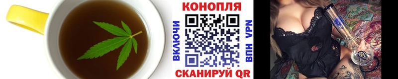 Купить где  Белёв  Cannafood конопля 