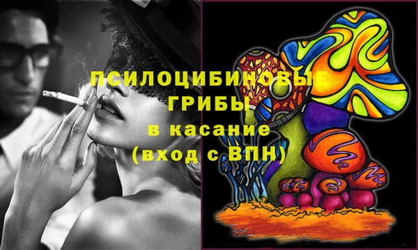 ECSTASY Козельск