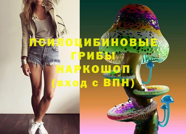 ECSTASY Козельск