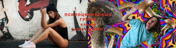ECSTASY Козельск