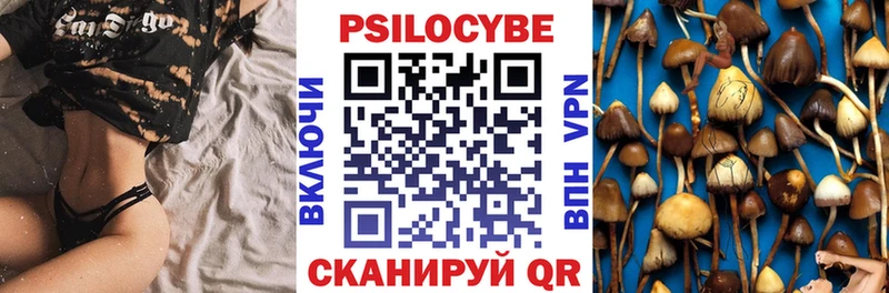 Галлюциногенные грибы Cubensis  Купить закладки  Белёв 